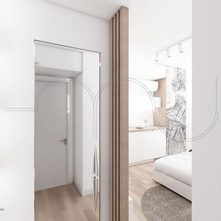 enterijer-ulica-nikodima-milaša-stan-na-dan-1